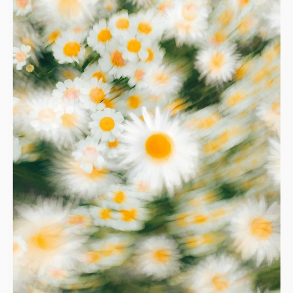 Sand + Fog Bloom Body Wash - Picture 3 of 5